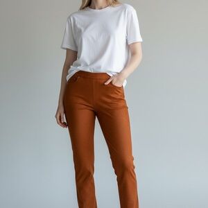 DG2 by Diane Gilman Terracotta Straight Leg Pants